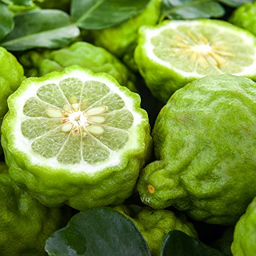 Mercedes-Benz Man Grey - Elegant Fragrance With Sensual Amber Woody Notes - Mesmerize The Senses With Original Luxury Men’s Eau De Toilette Spray - Endless Day Through Night Scent Payoff - 3.4 Oz #TOP3