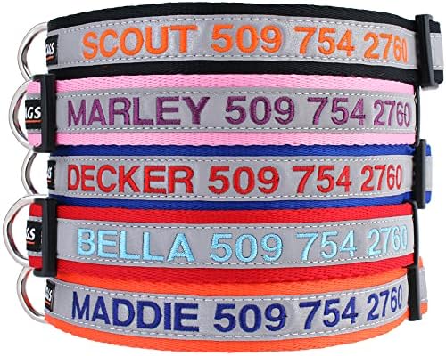 GoTags Reflective Personalized Dog Collar, Custom Embroidered with Pet Name and Phone Number in Blue for Boy and Girl Dogs, 3 Adjustable Sizes, Small, Medium, and Large