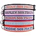 GoTags Reflective Personalized Dog Collar, Custom Embroidered with Pet Name and Phone Number in Black for Boy and Girl Dogs, 3 Adjustable Sizes, Small, Medium, and Large