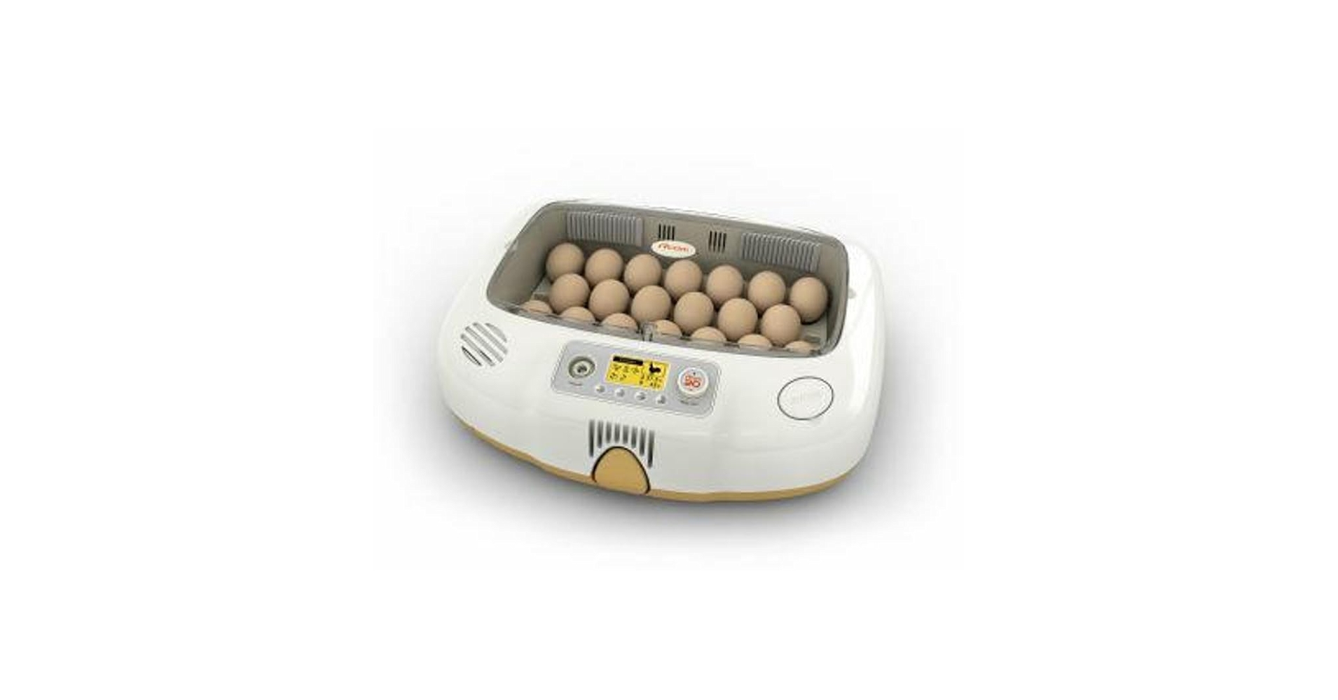 Amazon.com : Stromberg's Rcom 20 Do Pro Incubator : Patio, Lawn