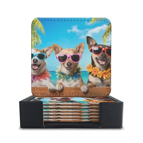 ϔM ` PUR[X^[ 6Zbg z ~ߕt TCY10cm×10cm 0.7cm JtȃTOXƃnCAC𒅂킢