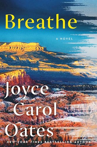 Breathe: A Novel view 2