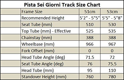 bianchi pista size chart
