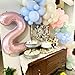 40 Inch Balloon Number 2 Pastel Pink, Large Foil Light Pink Number Balloons Set 0-9 for Girls Women, Digital 2 Helium Balloons for Girls 2nd Birthday Graduation Princess Party Decorations