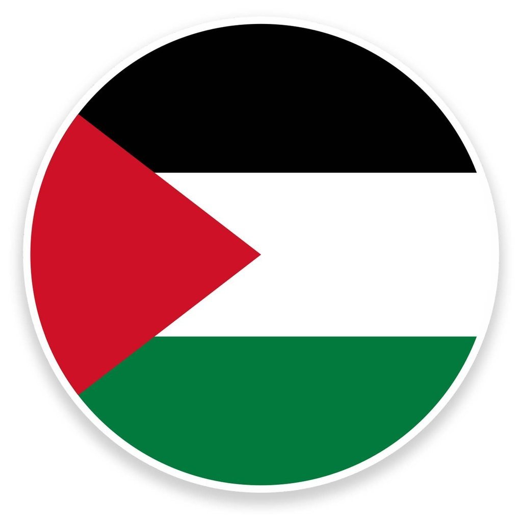 2 x 10cm/100mm Palestine Flag Vinyl SELF Adhesive Sticker Decal Laptop Travel Luggage Car Bike Sign Fun #9162