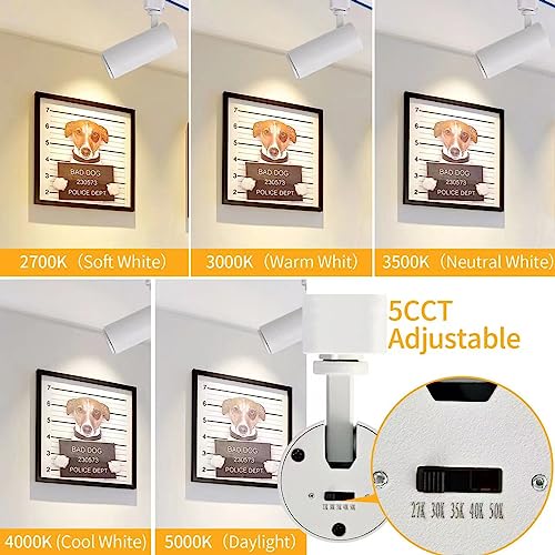 Ajbvp AJ-001 5Cct Led Track Lighting Heads 12W Dimmable,Zoomable Beam15°/24°/36°/45°/60°,2700K/3000K/3500K/4000K/5000K,Single Circuit H Track Lighting Heads Ceiling Fixtures Art Lighting,White-4Pack thumb #1