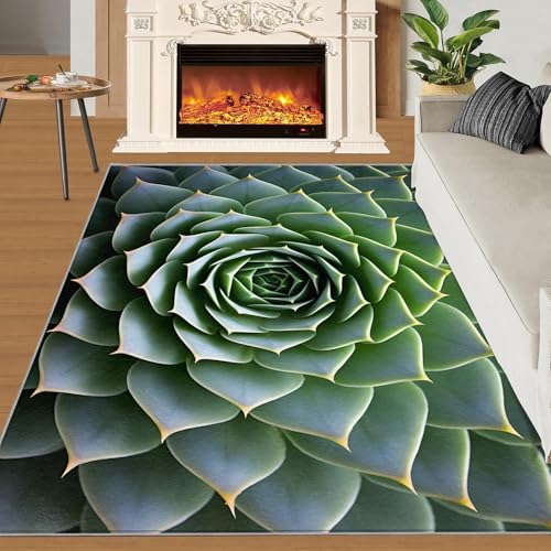 Tapis cactus antidérapant et lavable grand format 180x200