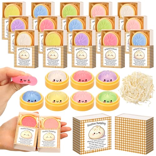 Wettarn 24 Sets Mini Positive Dumpling Stress Balls with Gift Boxes Cute Xiao Long Bao Party Favors Appreciation Gifts for Employee Coworker Friends Office Positive Relief Desk Decor