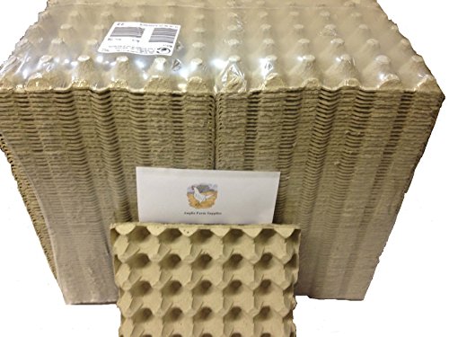 Large Cardboard Egg Tray Packaging x 308 Trays (Each Trays Holds 30 eggs)