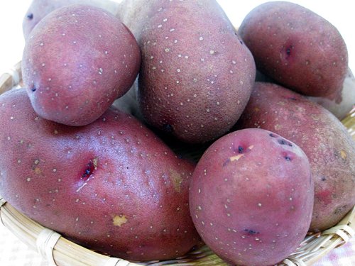 Amazon.co.jp: インカのめざめ インカルージュ 計1kg(サイズ無選別) 各