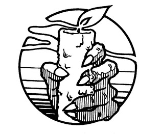 Amazon.co.uk: Philip J. Riley: books, biography, latest update