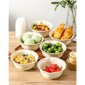 Hasense Ceramic Soup Bowls, 20 oz Cereal Bowls Set of 6 for Kitchen, Microwave, Oven and Dishwasher Safe, For Cereal, Fruit, Salad, Ramen, Soup, Noodle, Housewarming Present, Lotus Bowls, Beige Hasense Ceramic Soup Bowls 20 oz Cereal Bowls Set of 6 for Kitchen Microwave Oven and Dishwasher Safe For Cereal Fruit Salad Ramen Soup Noodle Housewarming Present Lotus Bowls Beige