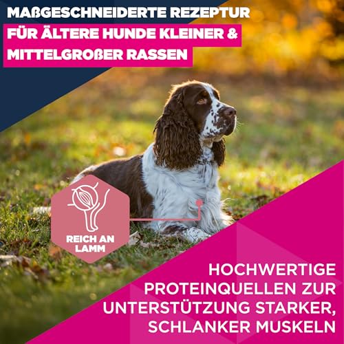 Eukanuba Senior Hundefutter mit Lamm und Reis für kleine und mittelgroße Rassen - Premium Trockenfutter für ältere Hunde, 12 kg