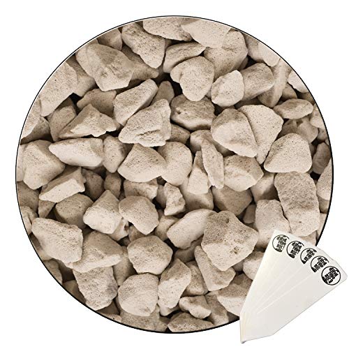 BuddyStone Hydro Stones Hydroponic Substrate, Chunky Soil Aerator, Soil Amendment (2 Quart Bag) + THCity Stakes BuddyStone Hydro Stones Hydroponic Substrate, Chunky Soil Aerator, Soil Amendment (2 Quart Bag) + THCity Stakes