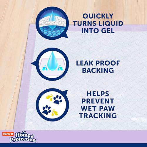Image of Hartz Home Protection Super Absorbent Odor Eliminating Lavender Scented No Leak Dog Pads, XL 30 Count (Pack of 2)