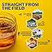Fischer's 100% Pure, Raw & Unfiltered Honey, 40 oz – All-Natural Sweetener – Rich Flavor Profile, Packed with Nutrients