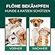 Silberkraft Flohmittel, Floh-Spray 2 L - Flohspray für Hund, Katze und andere Haustiere - Anwendung am Tier - ideales Anti-Floh-Mittel gegen Flöhe, Zecken, Parasiten, Ungeziefer…