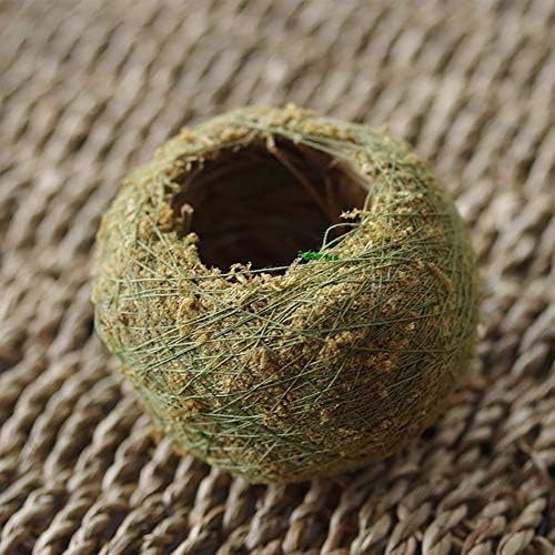 CHoppyWAVE Flower Pot Natural Planter Weave Moss Ball Bonsai Kokedama Garden Decor Flower Holder Pot