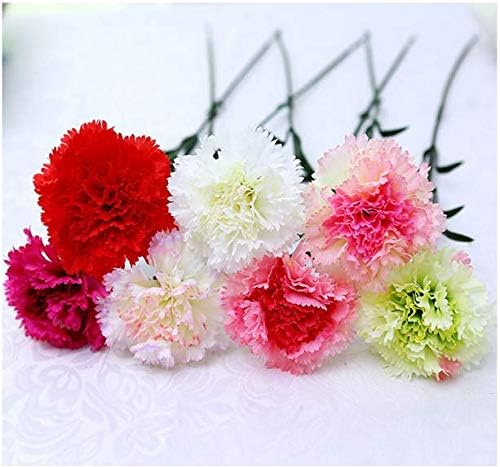 20 inch Bouquets 10 Stem Carnations,Outdoor UV Resistant No Fade Artificial Flower,Carnation Silk Petals Fake Flowers Forever Plants for Photo Props Home Party and Wedding Decor (Red) - Image 5