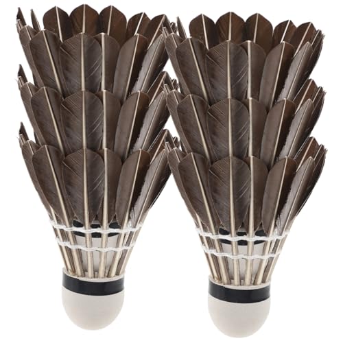 FRCOLOR 6 ϕ|[^uVbN ohKp ubNS Ή Og[jOHы