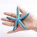 AerWo 20pcs Blue Artificial Resin Starfish with Rope, Hanging Finger Star Fish DIY Craft Beach Wedding Decorations Christmas Ornaments, 4inch