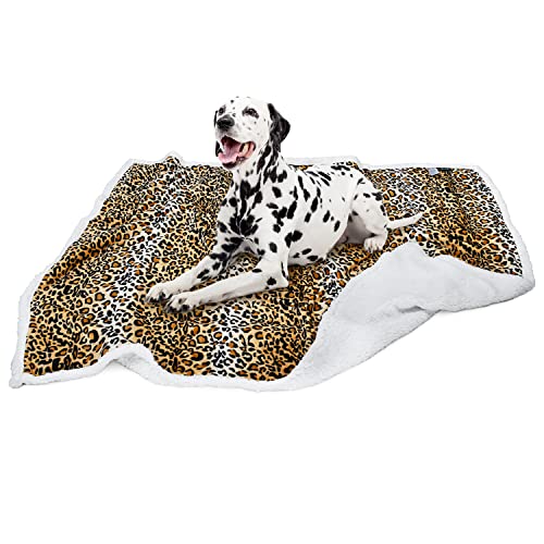 13 Best Comforter For Shedding Dogs Opinions of 210,429 Consumers