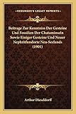 Beitrage Zur Kenntniss Der Gesteine Und Fossilien Der Chataminseln Sowie Einiger Gesteine Und Neuer Nephritfundorte Neu-Seelands (1901) (German Edition)