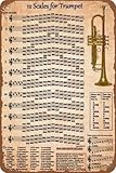 12 Escalas para Trompeta, Letreros Metálicos, Información sobre Trompeta, Póster Retro, Gráficos Educativos de Ciencia Popular, Placas de Pared, Decoración para el Hogar, Aula, Oficina, 8x12 Pulgadas