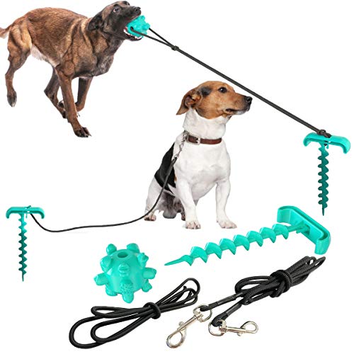 Aswinfon Anlegepflock für Hunde mit Tie-Out Leinen Bodenanker für Draussen und Garten mit Kauspielzeug für Hund, ideal für kleine mittelgroße große Hunde bis zu 120 lbs (Blue Stakes) Cover