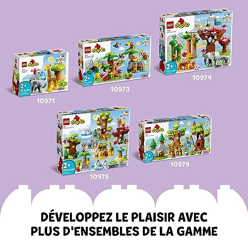 LEGO Duplo Animaux sauvages de 'océan - vue 7