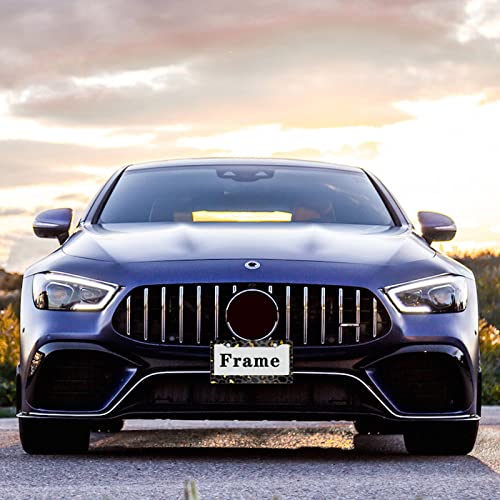 Meikosks Gold Leopard Print License Plate Frame Metal Aluminum Car Cover Tag Holder Frames For Women Cute Animal Dec,2 Holes With Screw Caps Us Vehicles Standard 12X6 Inch #TOP5