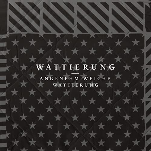 Bestlivings Tagesdecke (Stars & Stripes) 220x240 cm mit wattierter Zwischenlage, Bettüberwurf - Überwurfdecke, Sommerdecke gesteppt - Steppdecke, Wendedecke