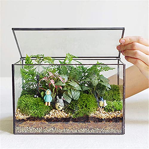Glass Plants Terrarium with Lid,Rectangle Black Pot Box for Indoor