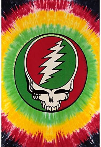 Sunshine Joy Grateful Dead Mini Tapestry Steal Your Face Rasta Tie Dye Wall Art 30x45 Inches