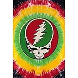 Picture of Sunshine Joy Grateful Dead Mini Tapestry Steal Your Face Rasta Tie Dye Wall Art 30x45 Inches