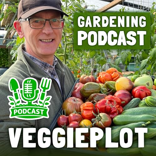 Seeds, Heirloom Tomatoes, Non-Stop Rain and Allotment Reality