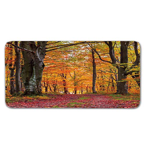 FAIEK Alfombras De Pasillo Bosques soleados Largas Moquetas Largo Entrada Felpudos Patrón 3D Anti-desvanecimiento Anti-Sucio Aplicar para Ventana De Bahia Dormitorio Sala Lavable Cortable 50x80cm