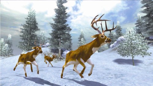 Cabela's Monster Buck Hunter - Software Only - Nintendo Wii #TOP3