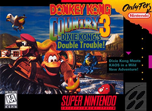 Nintendo Donkey Kong Country 3 SNES Spiel