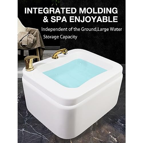 Masajeador Spa de Pies Acrílico con Calor y Pediluvio miniatura 2