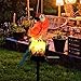 Solar Outdoor Lights Resin Parrot Garden Lights 12 Hrs Long-Lasting Decorative Lights for Yard, Pathways, Landscape Lighting Solar Spot Lights Outdoor Security Lights Garden Statues