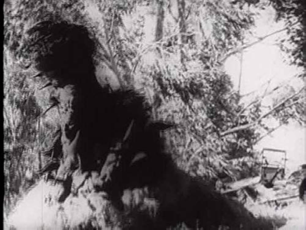 (未使用･未開封品)　クリーピング・テラー [DVD] qdkdu57 Amazon.co.jp: クリーピング・テラー [DVD] : アーサー