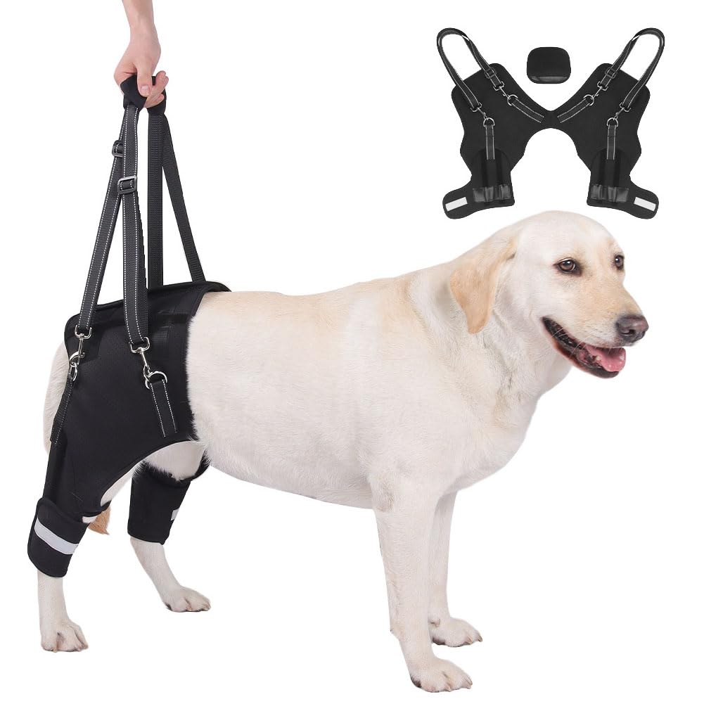 Hgtrh Colour Dog Wheelchair, Rear Support Harness With Memory Spring Mobility Aid For Senior Pets With Hip Dysplasia Arthritis Post-Surgery Recovery Adjustable & Reflective M