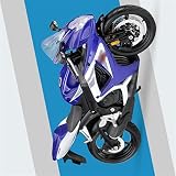 Reproduce a la perfección las líneas y proporciones de la motocicleta para satisfacer diversas necesidades de coleccionista.