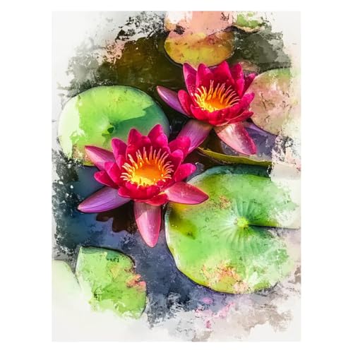 DIY  G  hG |Lbg 55 x 40Cm G CeA Lbg rbOTCY TCY q S yCgoCio[  Painting by Numbers KpΏۂĎ Ǐ Εav