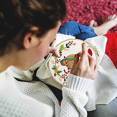 Christmas Embroidery Kits For Adults With Plant And Bird Pattern, Cross Stitch Kits For Beginners Including Embroidery Hoops Threads And Needles #TOP2