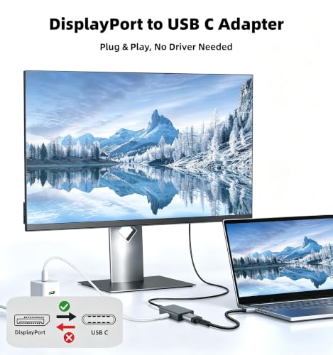 Image of DisplayPort to USB C Adapter, 4K@120Hz DP to Type C Adapter for AR Glasses