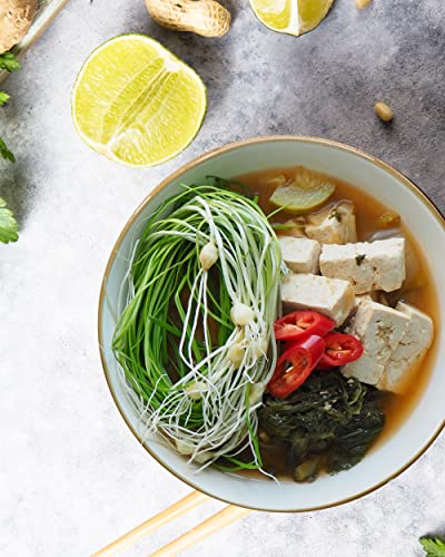 Sempio Tojang Premium Paste (15.9oz) - Korean Traditional Soybean Paste with Savory and Sweet Flavor, Naturally Fermented. Doenjang Miso Soup Base, Ideal for Asian Dishes - Thumbnail 6