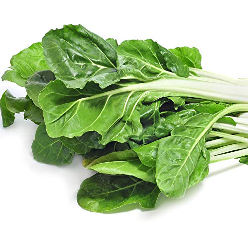 Outsidepride Beta Vulgaris Swiss Chard Green Edible Herb & Vegetable Garden Plants - 2000 Seeds #TOP1