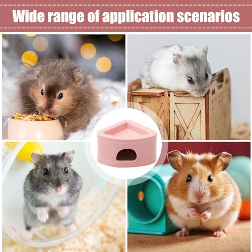 Station d'alimentation pour petits animaux et cachette fraîche